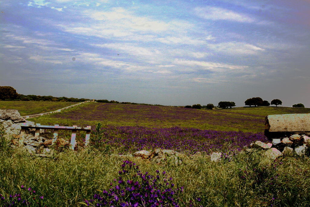 Casa Rural La Cuadraá Linares de Riofrío Quarto foto